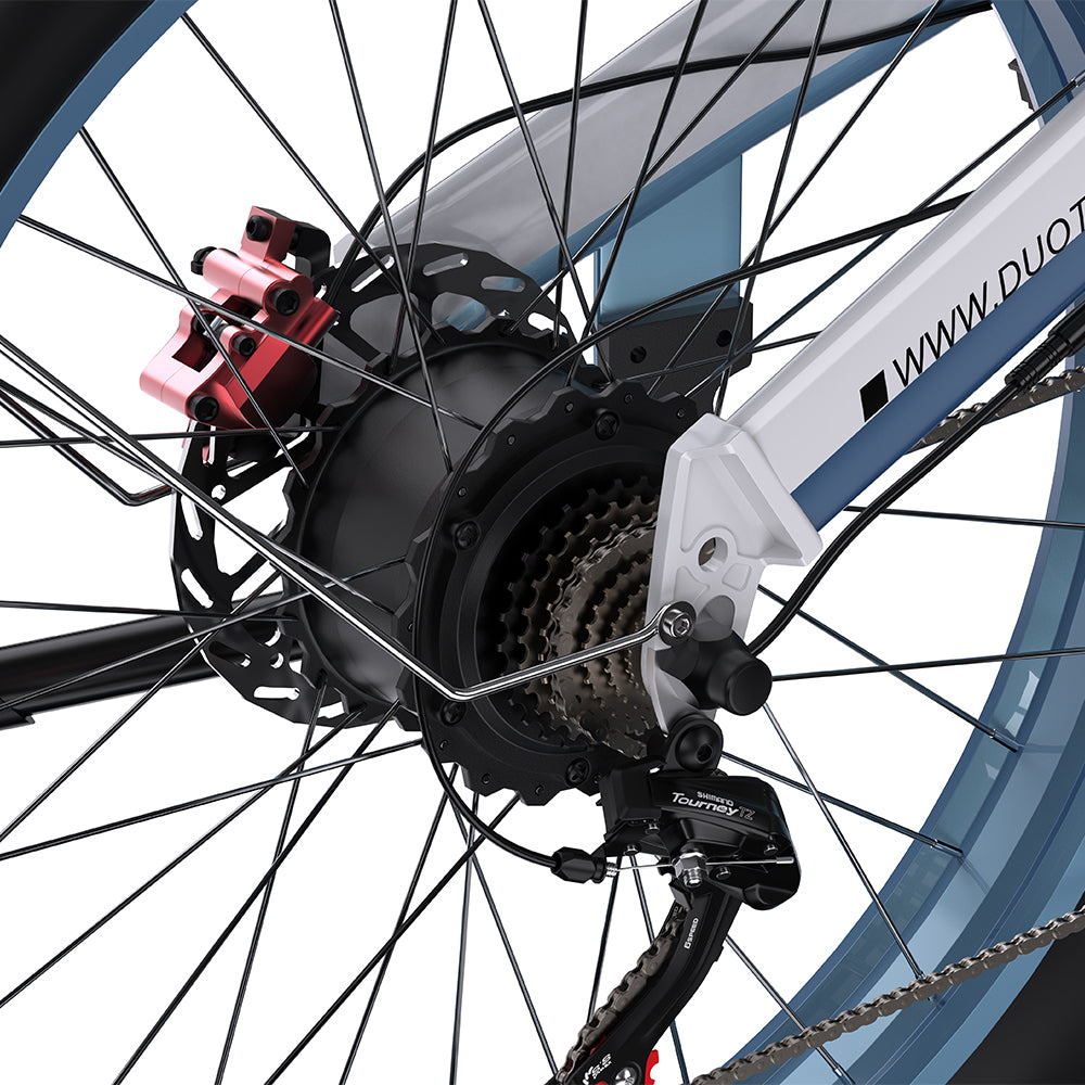 DUOTTS N26 26" Fat Tire Electric Mountainbike 750W Doppelmotoren 48V 20Ah Batterie