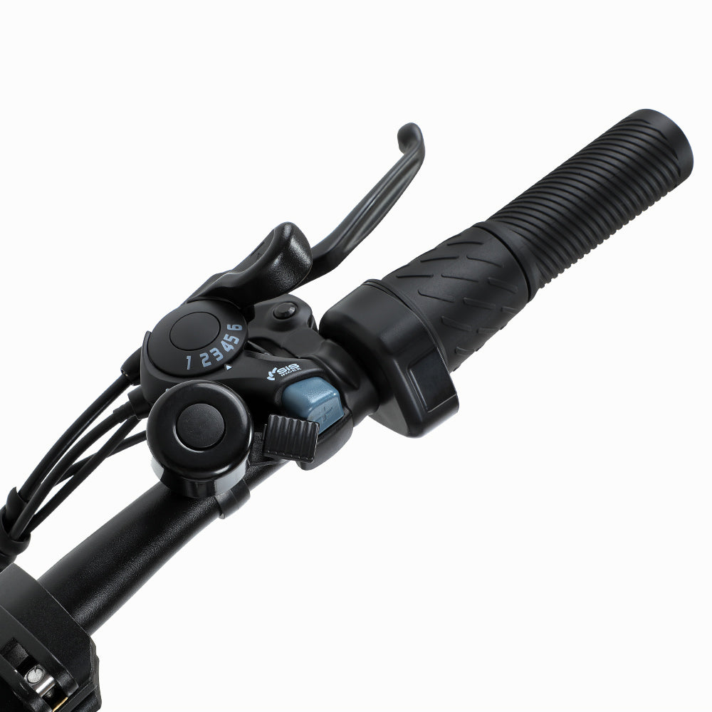 PVY Z20 Pro 20" Elektrisches Pendlerfahrrad 500W Motor 36V 14Ah Batterie