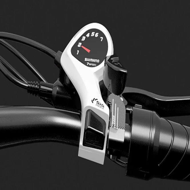 LANKELEISI X2000 MAX 20“ Zusammenklappbares Elektrofahrrad 2000W Doppelmotor 48V 20Ah Batterie