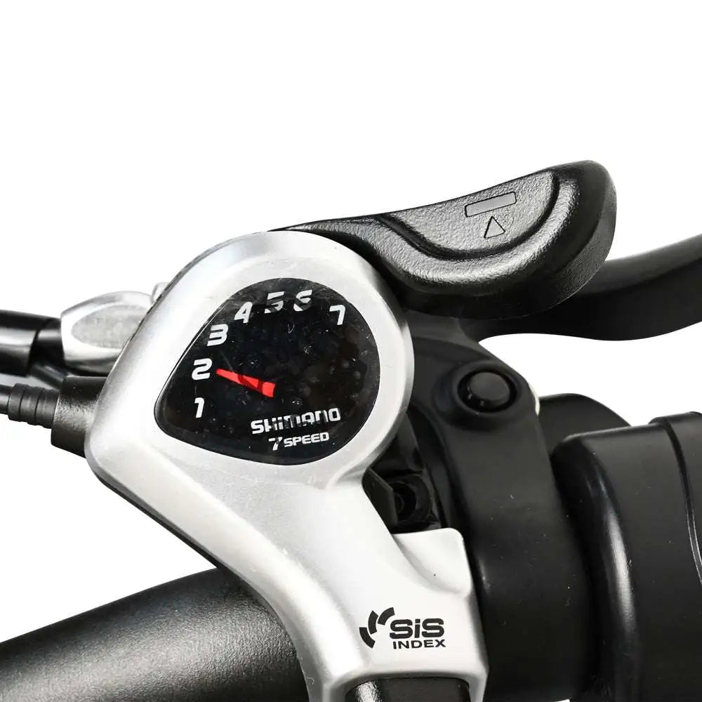 BAOLUJIE DZ2002 20" Zusammenklappbares Stadt Elektrofahrrad 500W Motor 48V 13Ah Batterie