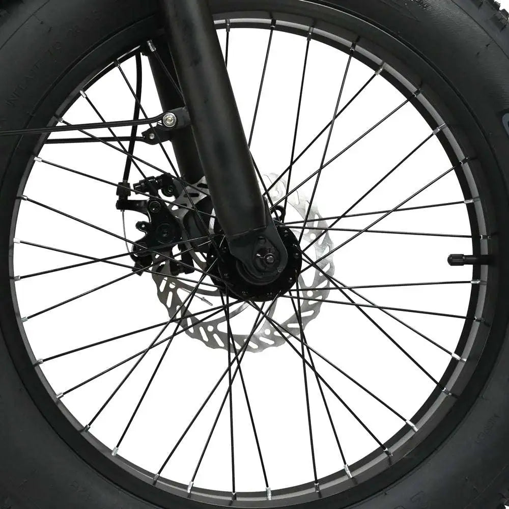 BAOLUJIE DZ2002 20" Zusammenklappbares Stadt Elektrofahrrad 500W Motor 48V 13Ah Batterie