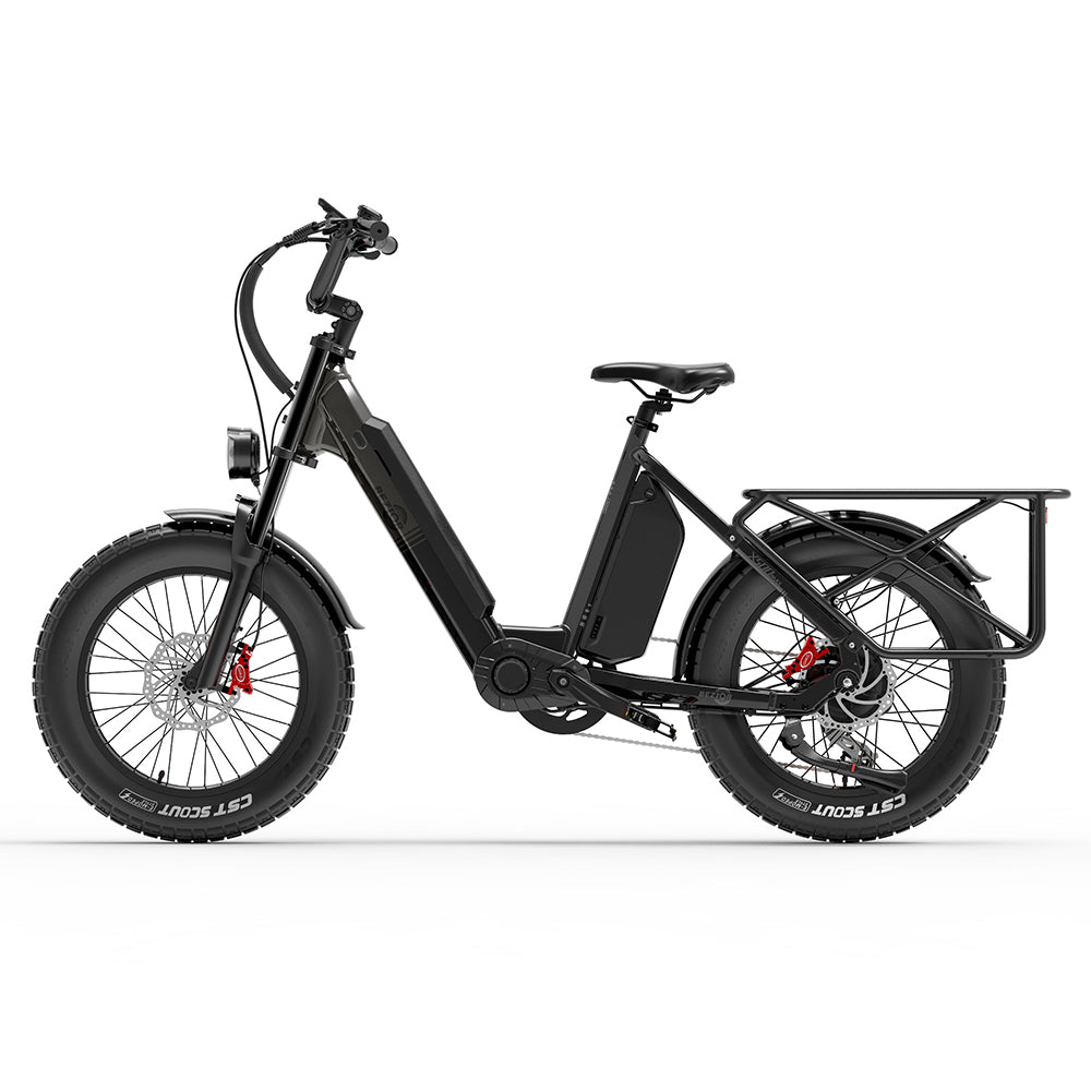 Bicicleta de montaña eléctrica BEZIOR X500MAX de 20 pulgadas con neumáticos anchos, motor de 750 W y batería de 48 V y 37,5 Ah