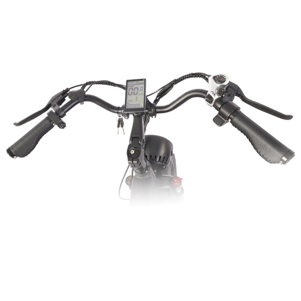 Bicicleta eléctrica todoterreno retro BEZIOR XF001 de 20", ruedas anchas, motor de 1000 W, batería de 48 V y 12,5 Ah