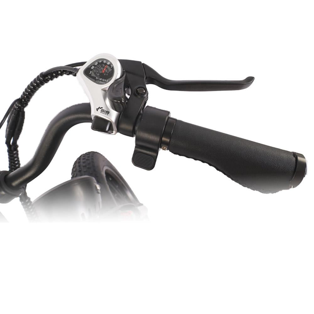 Bicicleta eléctrica todoterreno retro BEZIOR XF001 de 20", ruedas anchas, motor de 1000 W, batería de 48 V y 12,5 Ah