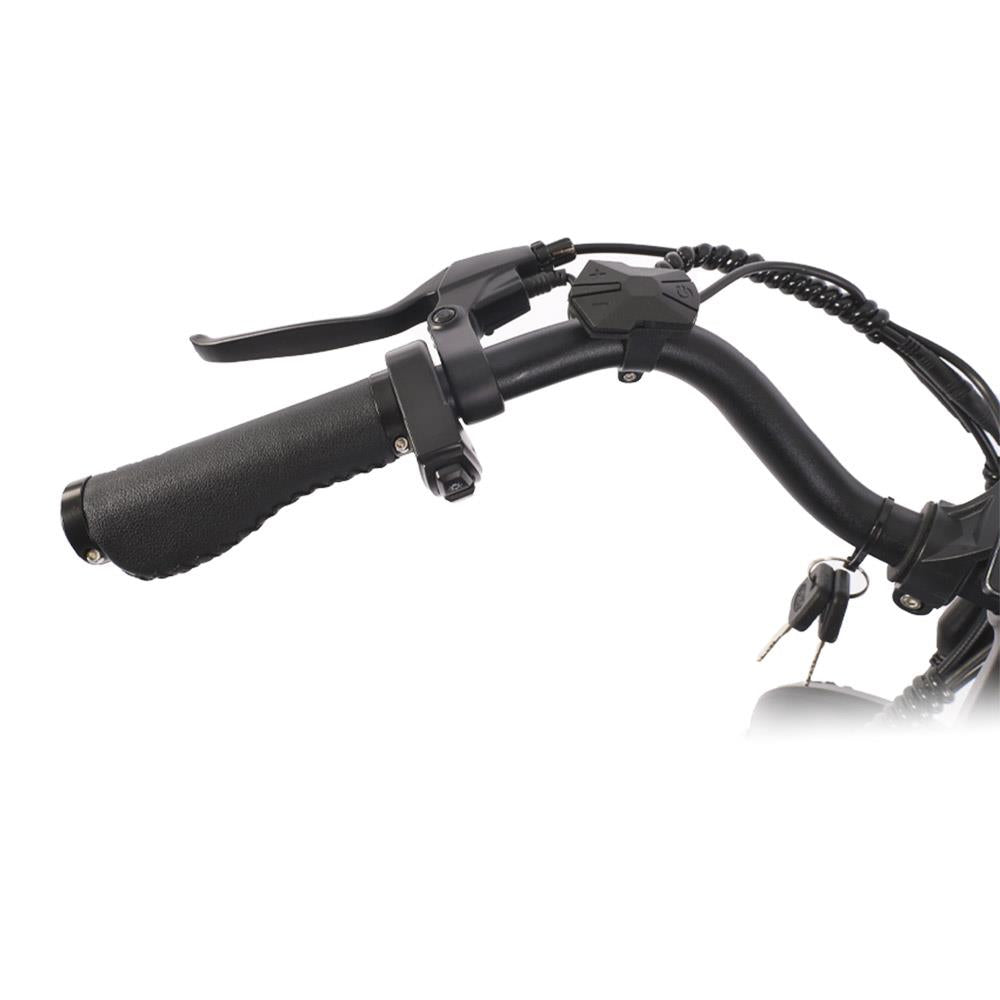 Bicicleta eléctrica todoterreno retro BEZIOR XF001 de 20", ruedas anchas, motor de 1000 W, batería de 48 V y 12,5 Ah