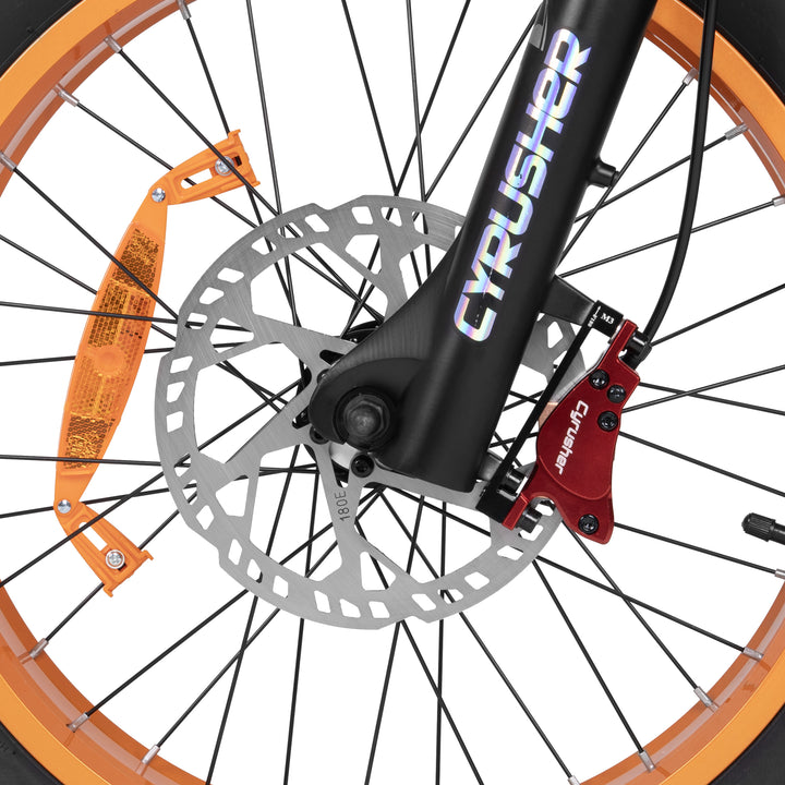 CYRUSHER Kommoda 2.0 20" Elektrofahrrad mit Durchstieg Fat Reifen 250W Motor 48V 20Ah Batterie