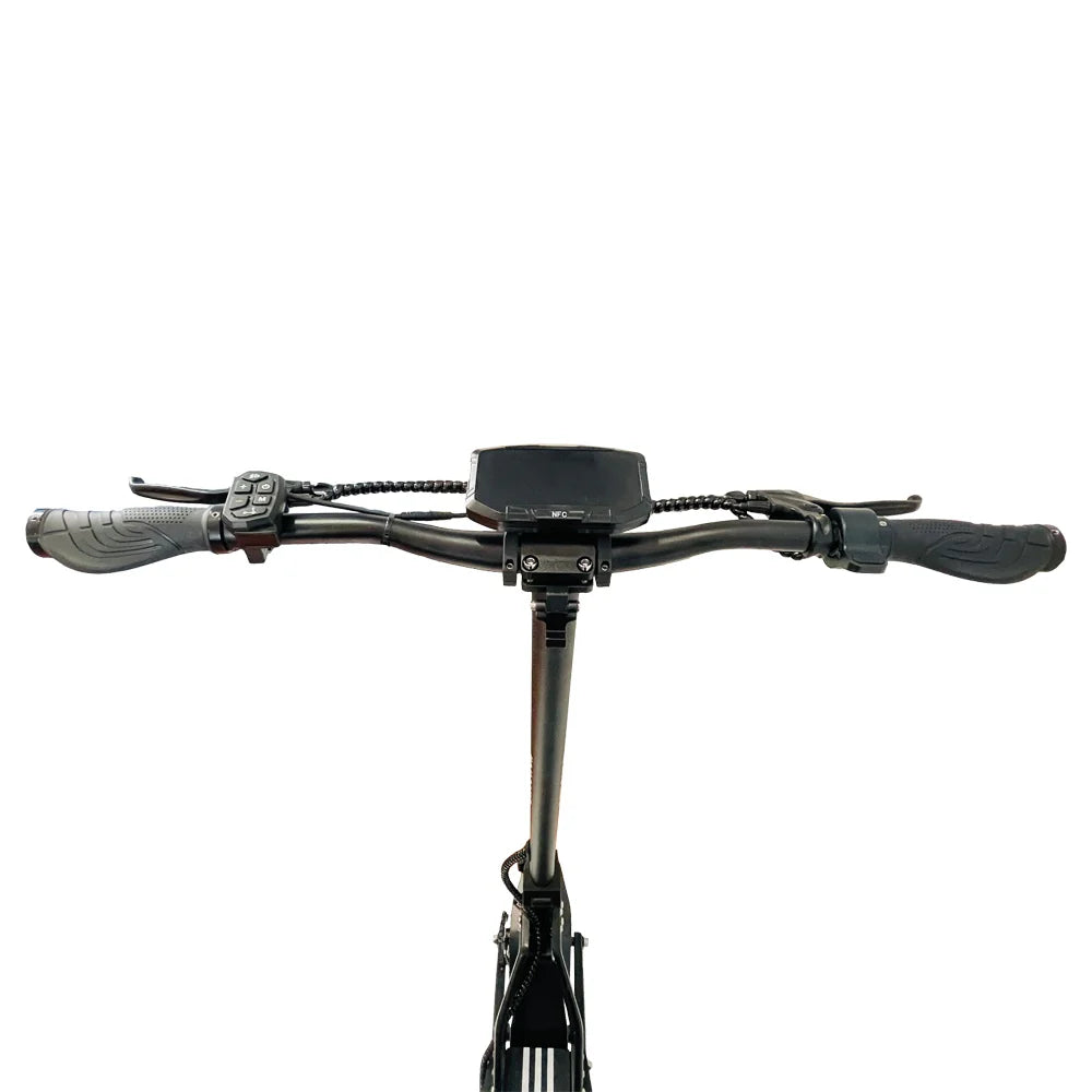 DRIVETRON DT10 10" Off-Road Electric Scooter Doppelmotor 1000W*2 48V 20.8Ah Batterie