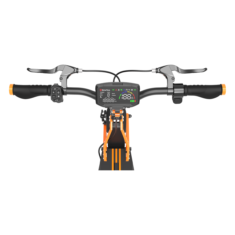 DRIVETRON DT10 10" Off-Road Electric Scooter Doppelmotor 1000W*2 48V 20.8Ah Batterie