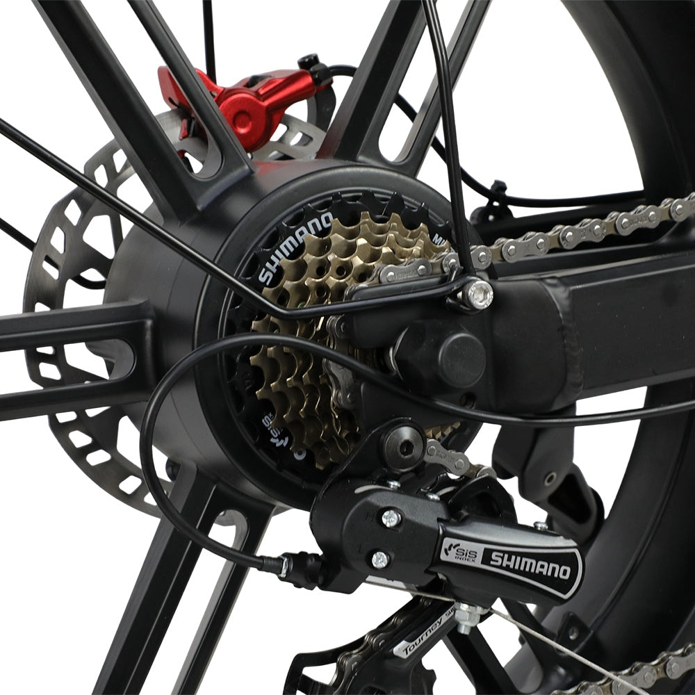 DUOTTS F20 20" Elektro-Mountainbike 750W Motor 52V 27Ah Batterie