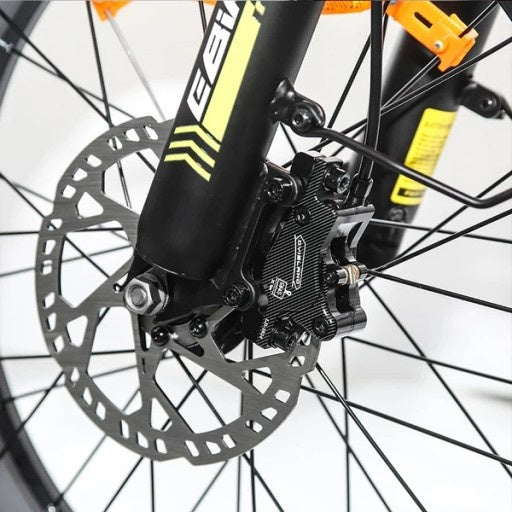 EMOKO C99 20" Retro Elektrofahrrad mit 250W Motor und 48V 20Ah batterie