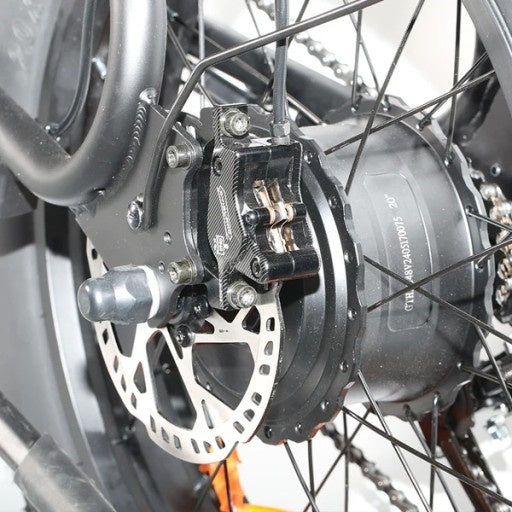 EMOKO C99 20" Retro Elektrofahrrad mit 250W Motor und 48V 20Ah batterie