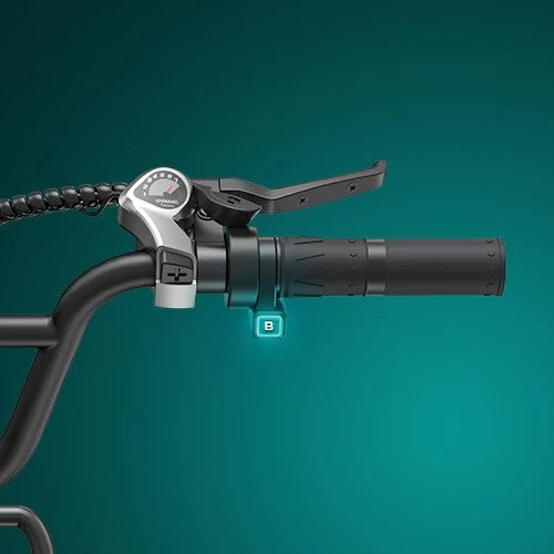 ENGWE L20 Boost 20" Schritt Durch E-Bike mit 250W Motor 48V 13Ah Batterie
