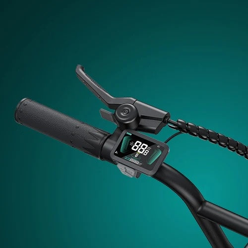 ENGWE L20 Boost 20" Schritt Durch E-Bike mit 250W Motor 48V 13Ah Batterie