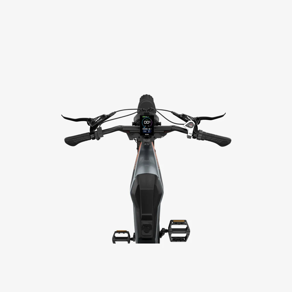 LUCKEEP M5 Max 20" Elektro-Mountainbike 1500W Motor 52V 20Ah/40Ah Batterie