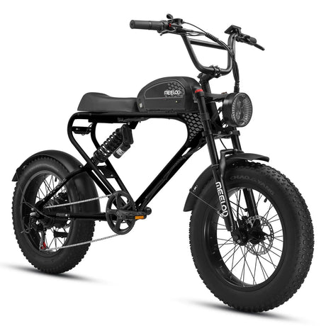 MEELOD DK300 PLUS 20" Elektrofahrrad im Retro Moped Stil 1200W Spitzenmotor 48V 20Ah Batterie