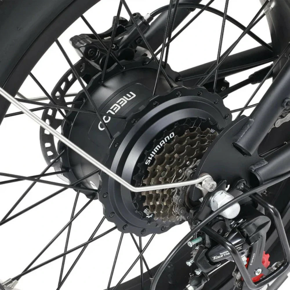 MEELOD DK300 MAX 20" Elektrofahrrad im Retro-Moped-Stil 1200W Spitzenleistung Doppelmotoren 48V 20Ah Doppelbatterien
