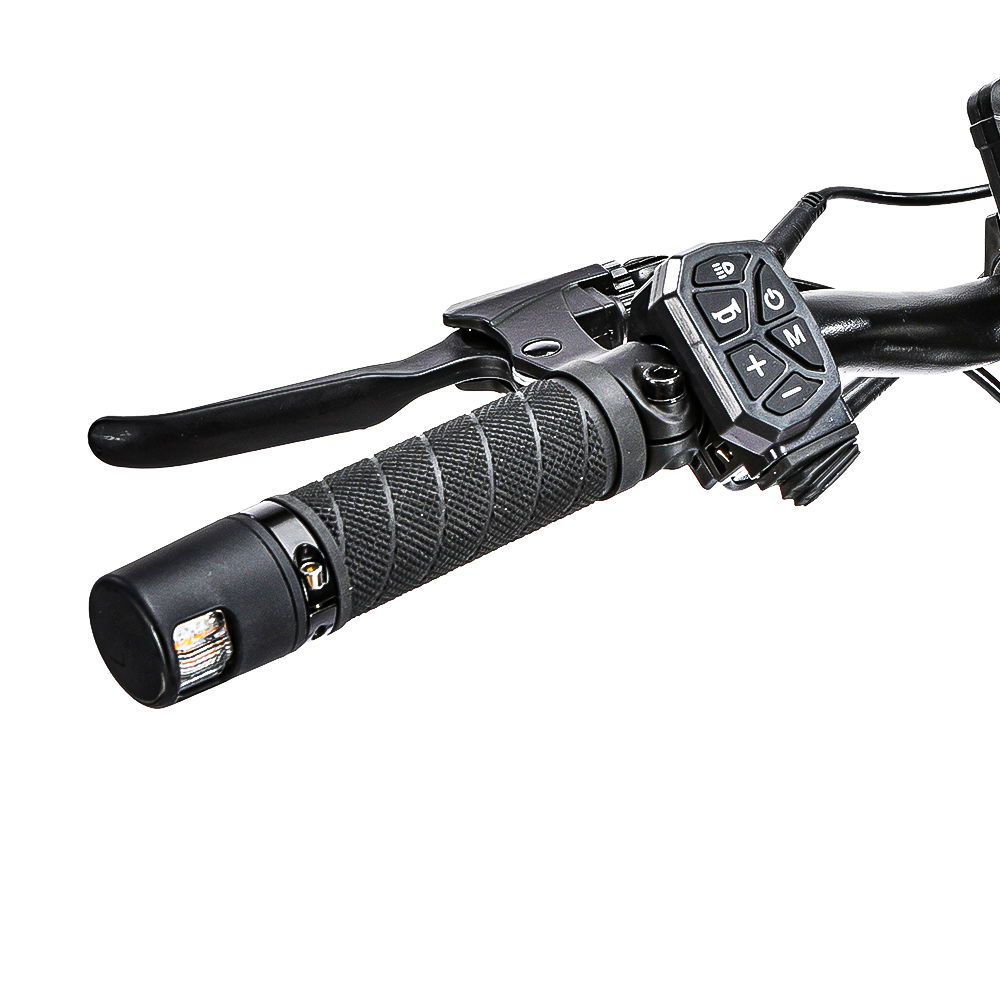 MIHUNTER X02 10" Offroad Elektroroller 2000W Motor 48V 18Ah Batterie