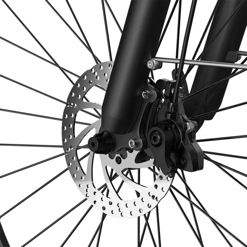PIXAR C1 28" Fat Tire Elektrofahrrad 250W Motor 36V 13Ah Batterie
