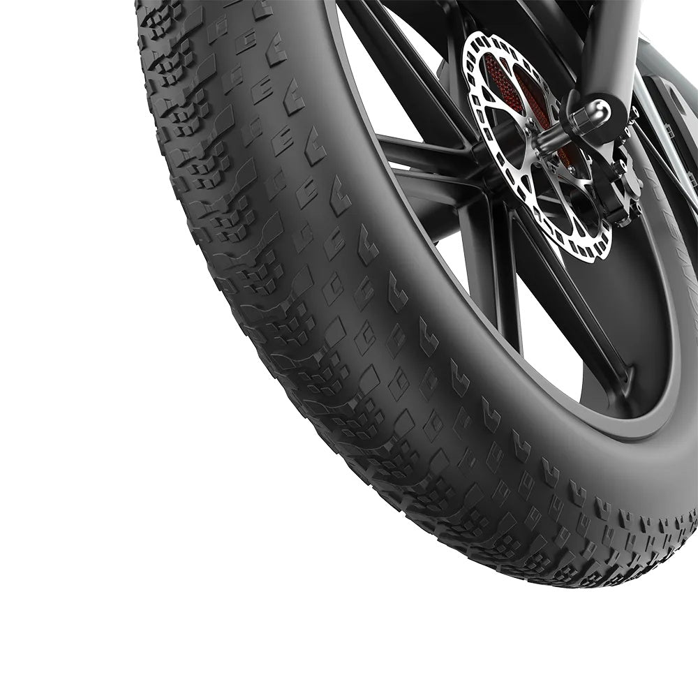 PIXAR M9 20" Fat Tire Elektrofahrrad 250W Motor 48V 35Ah Batterie