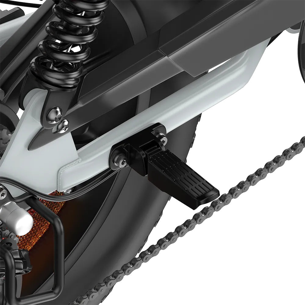 PIXAR M9 20" Fat Tire Elektrofahrrad 250W Motor 48V 35Ah Batterie