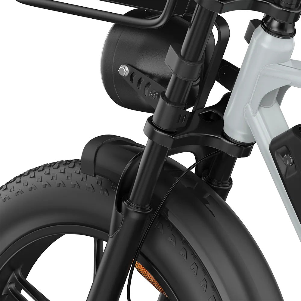 PIXAR M9 20" Fat Tire Elektrofahrrad 250W Motor 48V 35Ah Batterie