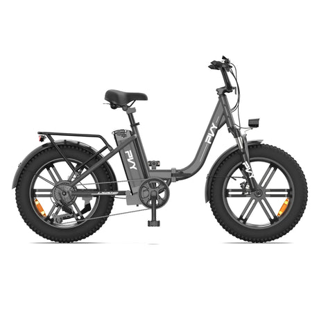PVY LS20 20" Tiefeinsteiger Elektro Citybike 250W Motor 48V 16,5Ah Batterie