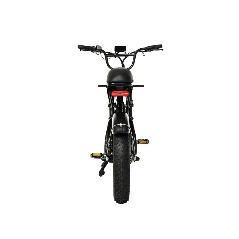 PIXAR SuperV 20" Fatbike 500W Motor 48V 30/15.6Ah Batterie