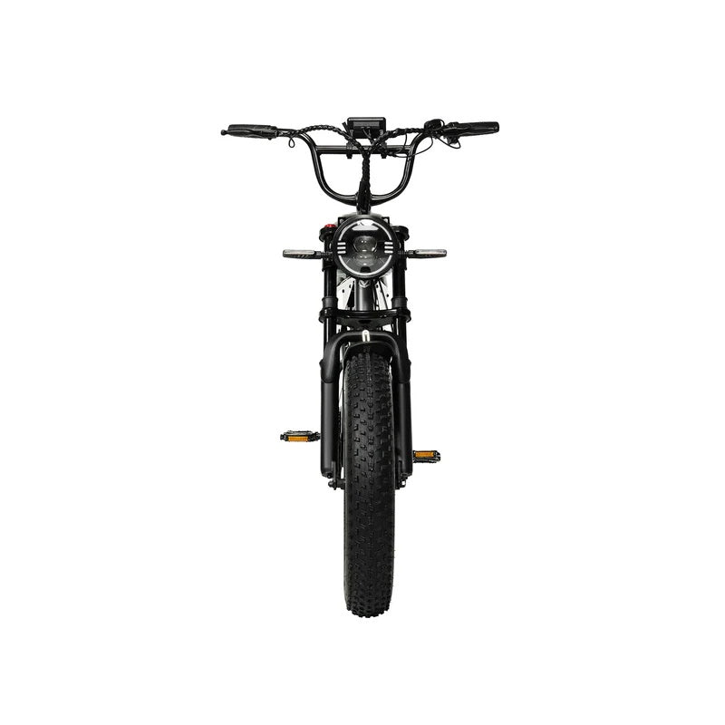 PIXAR SuperV 20" Fatbike 500W Motor 48V 30/15.6Ah Batterie