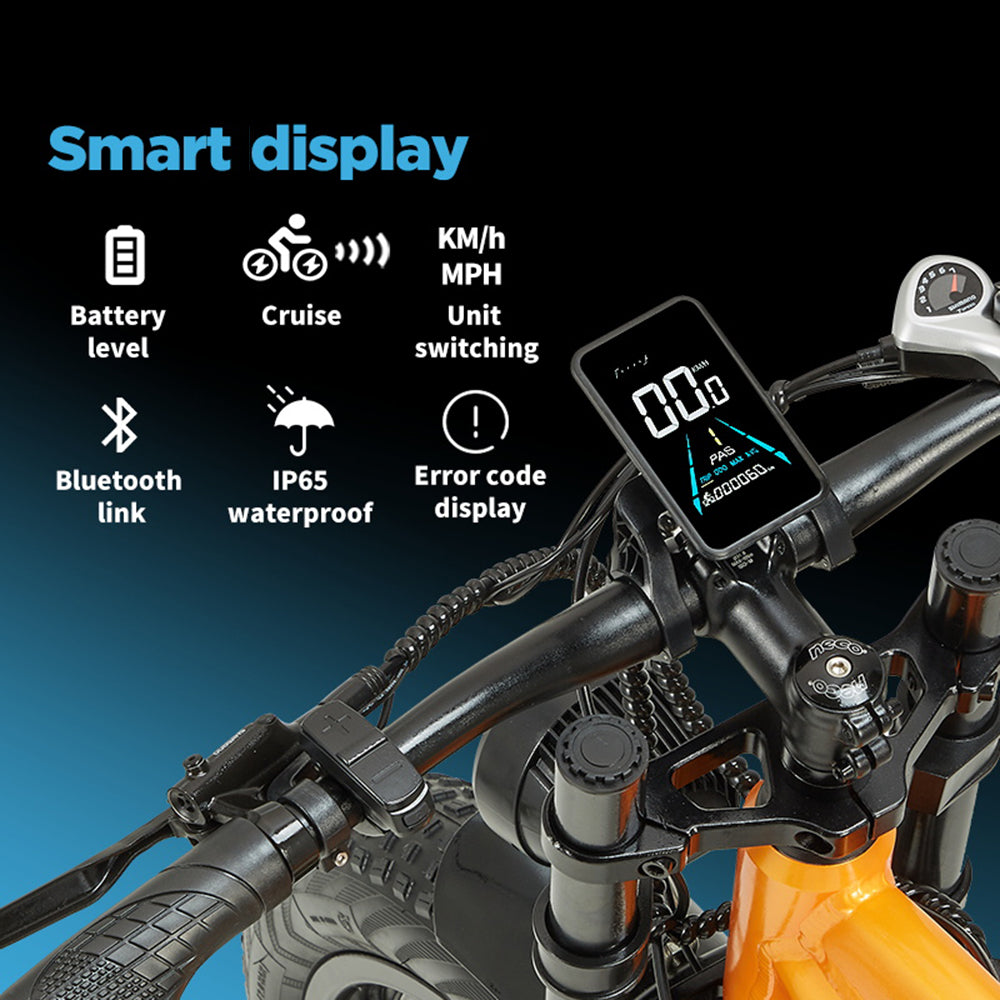 RANDRIDE YX80M-2 26" Mountainbike Elektrofahrrad 1000W*2 Doppelmotoren 48V 20Ah Batterie