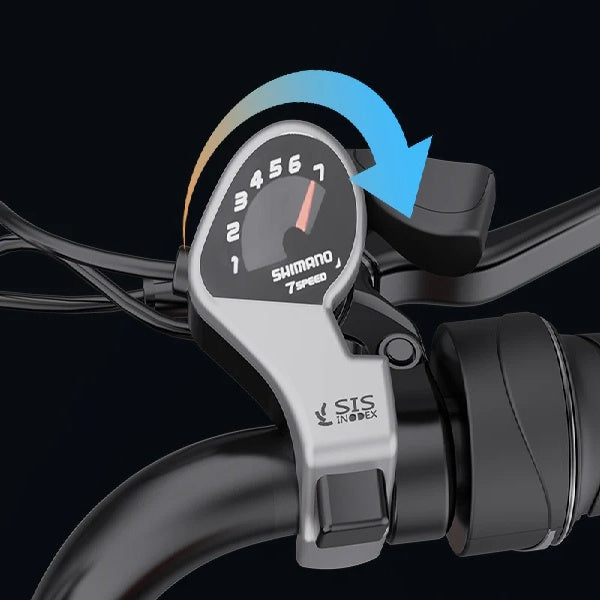 YVY CR20 20" Retro Stil E-Bike für alle Geländearten 1000W Motor 48V 20Ah Batterie