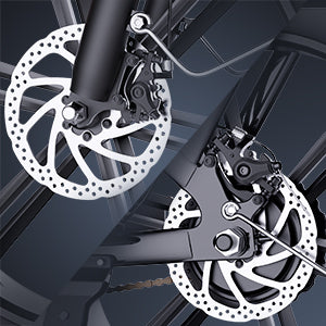 YVY FM001 20" 1000W Motor Zweisitzer Fahrrad mit Breitreifen 48V 15Ah Batterie