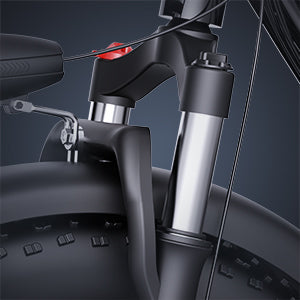 YVY FM001 20" 1000W Motor Zweisitzer Fahrrad mit Breitreifen 48V 15Ah Batterie