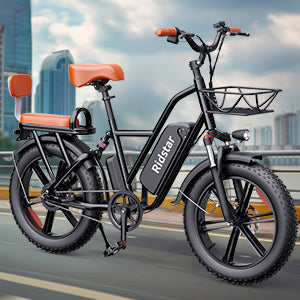 YVY FM001 20" 1000W Motor Zweisitzer Fahrrad mit Breitreifen 48V 15Ah Batterie