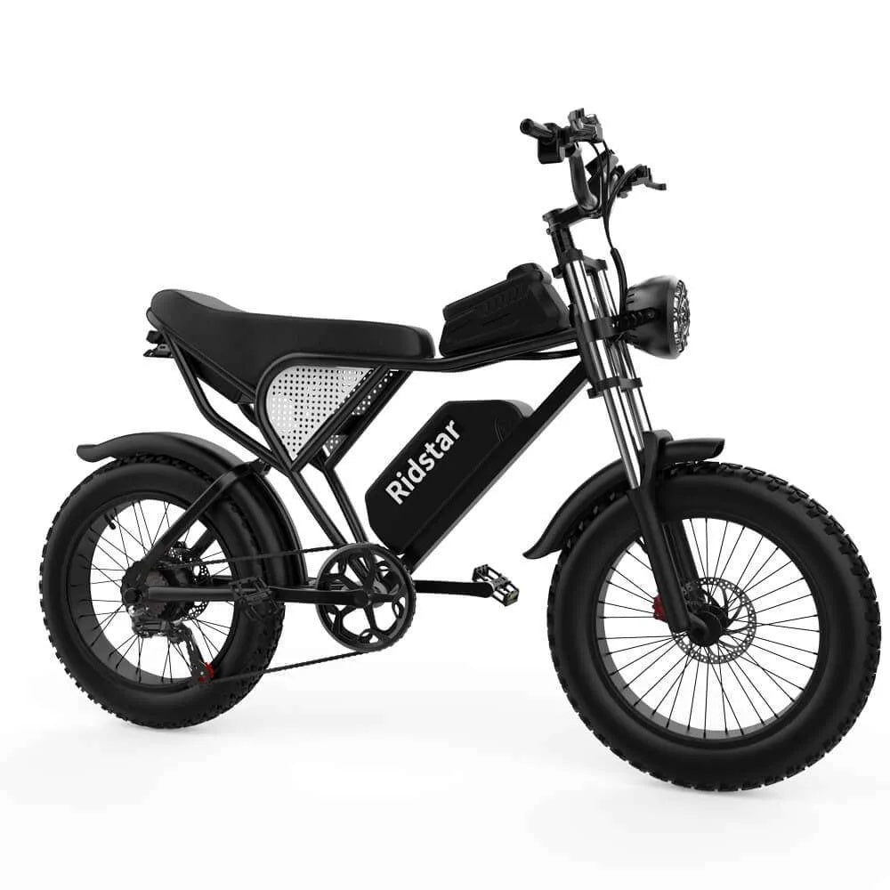 YVY Q20 20" Fat Tires Elektrofahrrad 1000W Motor 48V 20Ah Batterie