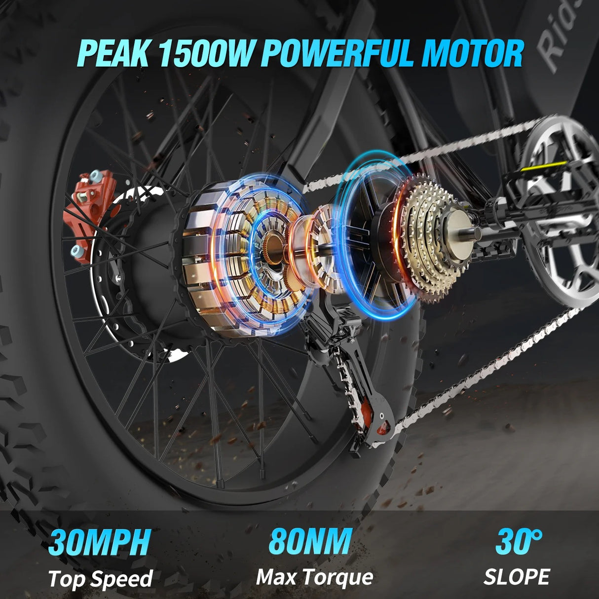 RIDSTAR Q20 20" Fat Tires Elektrofahrrad 1000W Motor 48V 20Ah Batterie
