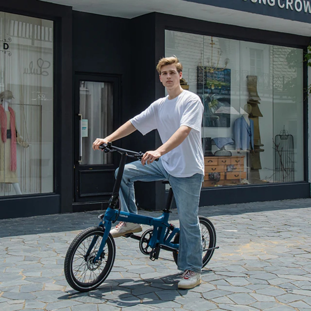 TEZEUS Swift 20" faltbares Elektrofahrrad 250W Motor 36V 7Ah Batterie