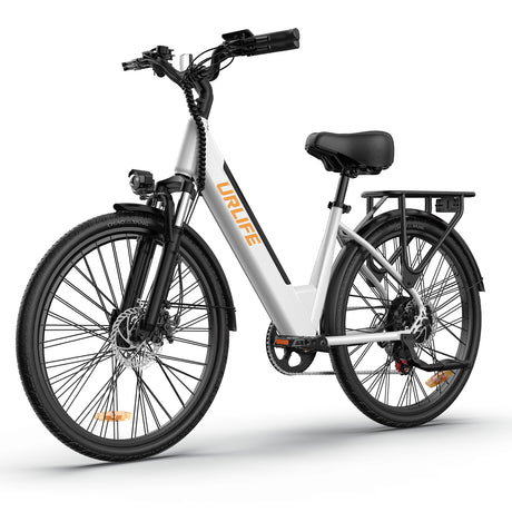 URLIFE E26 26 Zoll E-Bike mit tiefem Einstieg 250W Motor 36V 13Ah Batterie (EU edition)