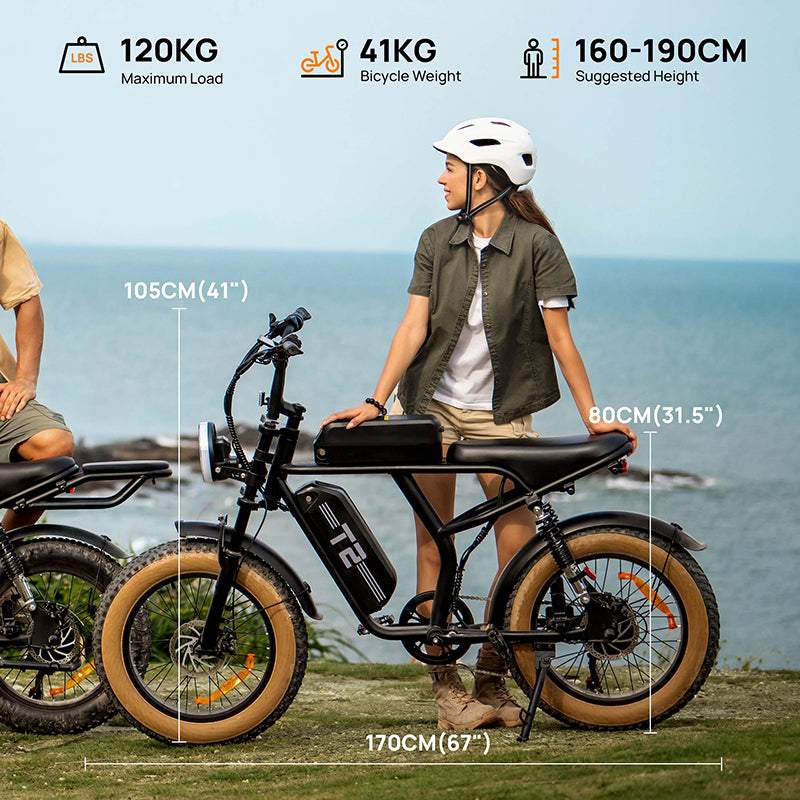 URLIFE T2 20" Off-Road Elektrofahrrad 250W Motor 48V 15.6Ah Batterie