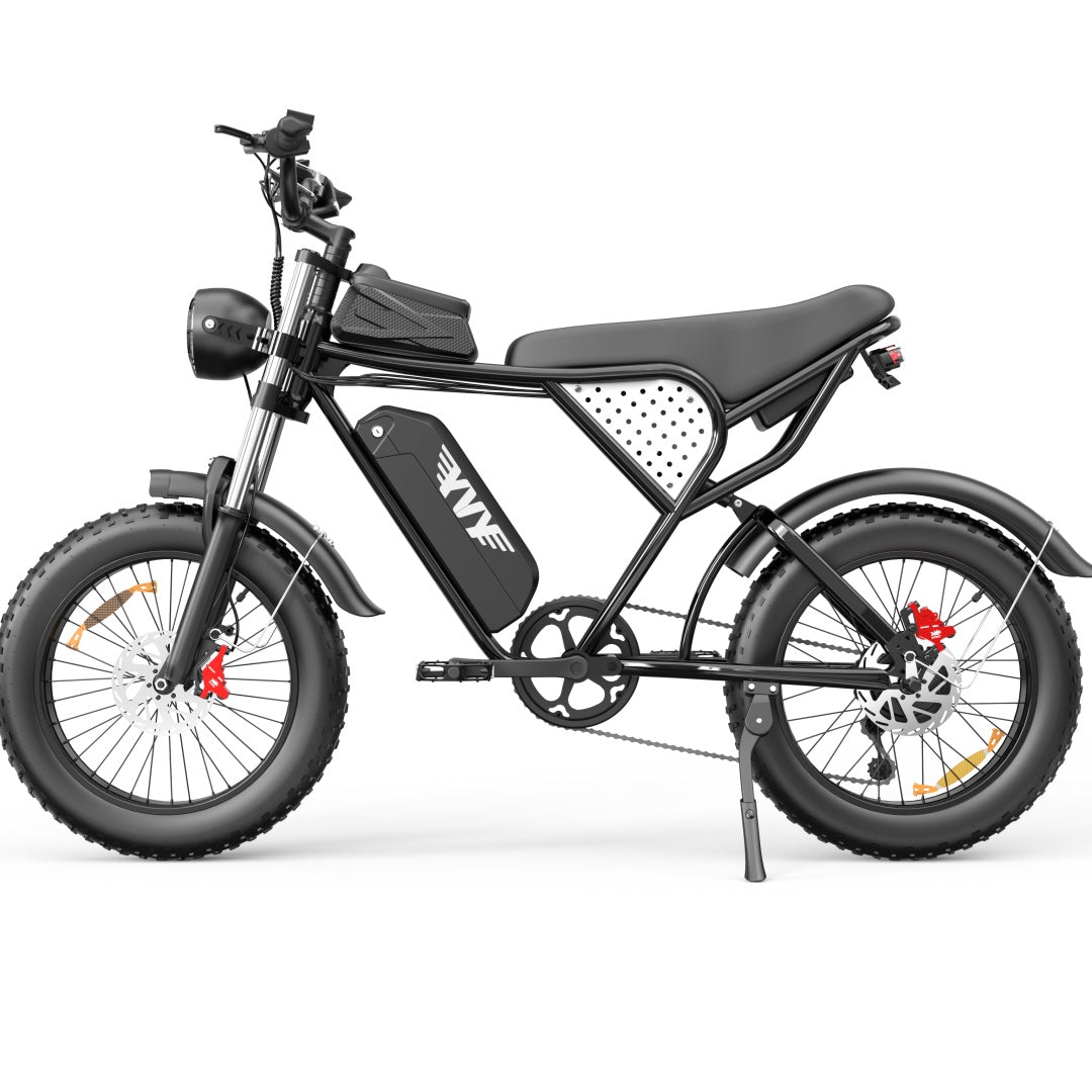 YVY C20(Q20) 20" Fat Tires Elektrofahrrad 1000W Motor 48V 20Ah Batterie
