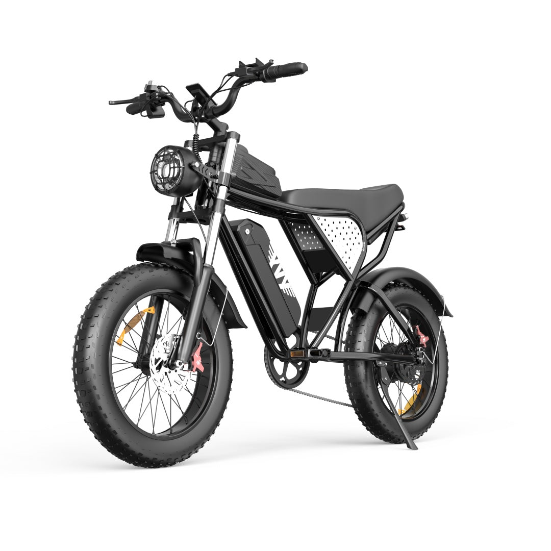 YVY C20(Q20) 20" Fat Tires Elektrofahrrad 1000W Motor 48V 20Ah Batterie