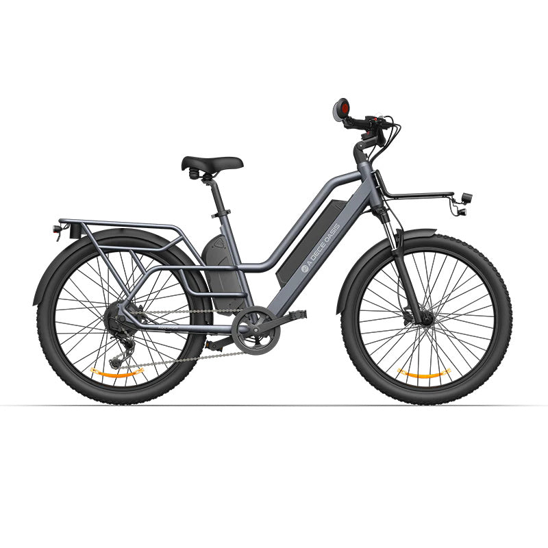 ADO Oasis 260T 26" Cargo Elektrofahrrad 500W Motor 48V 13,5Ah+9Ah Dual Batterie