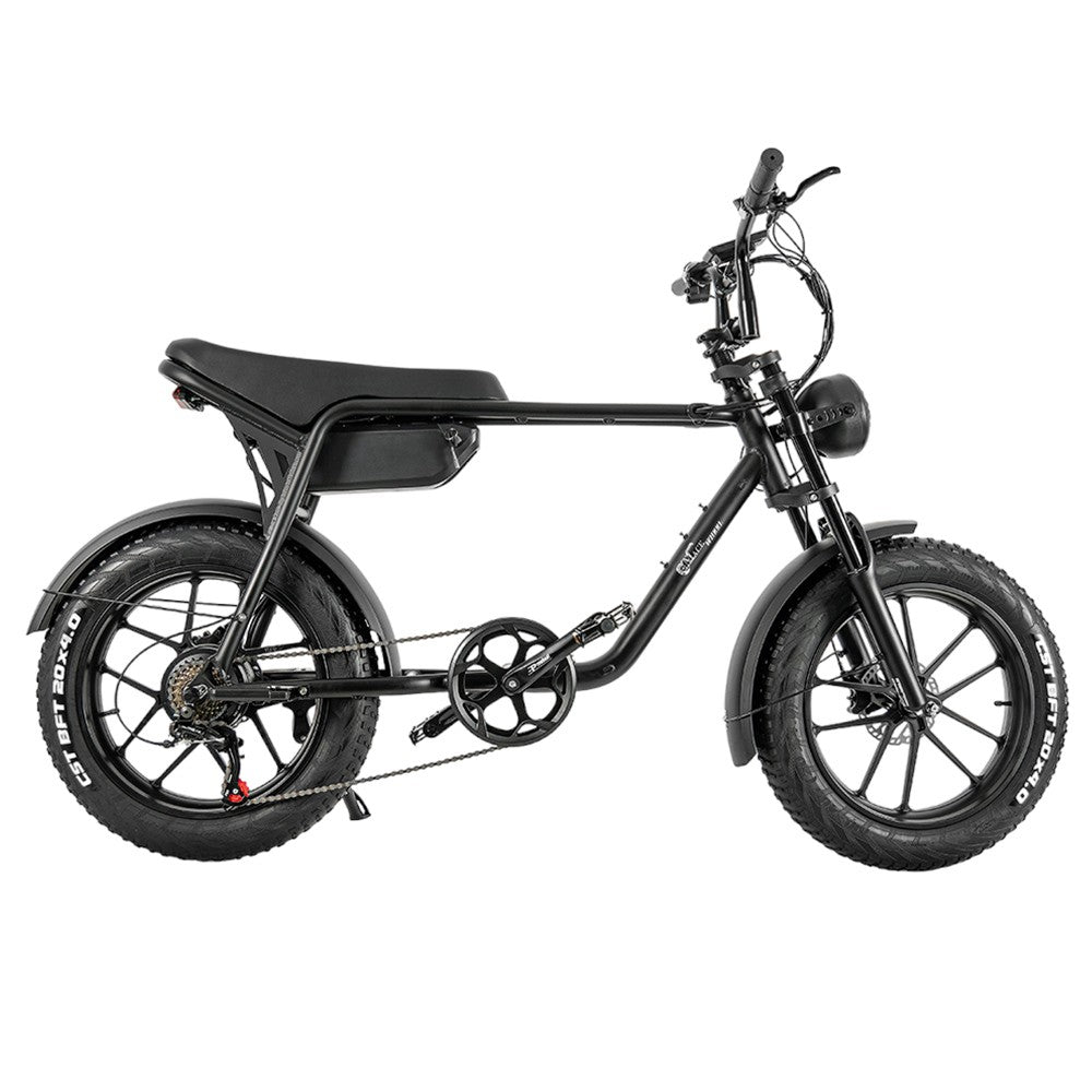 CMACEWHEEL K20 20" Fat Tire Elektrofahrrade 750W Motor 48V 17Ah Batterie