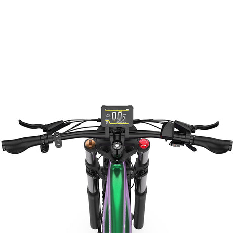 DUOTTS E26 26" Elektro Mountainbike Mit 750W Motor 48V 20Ah Batterie