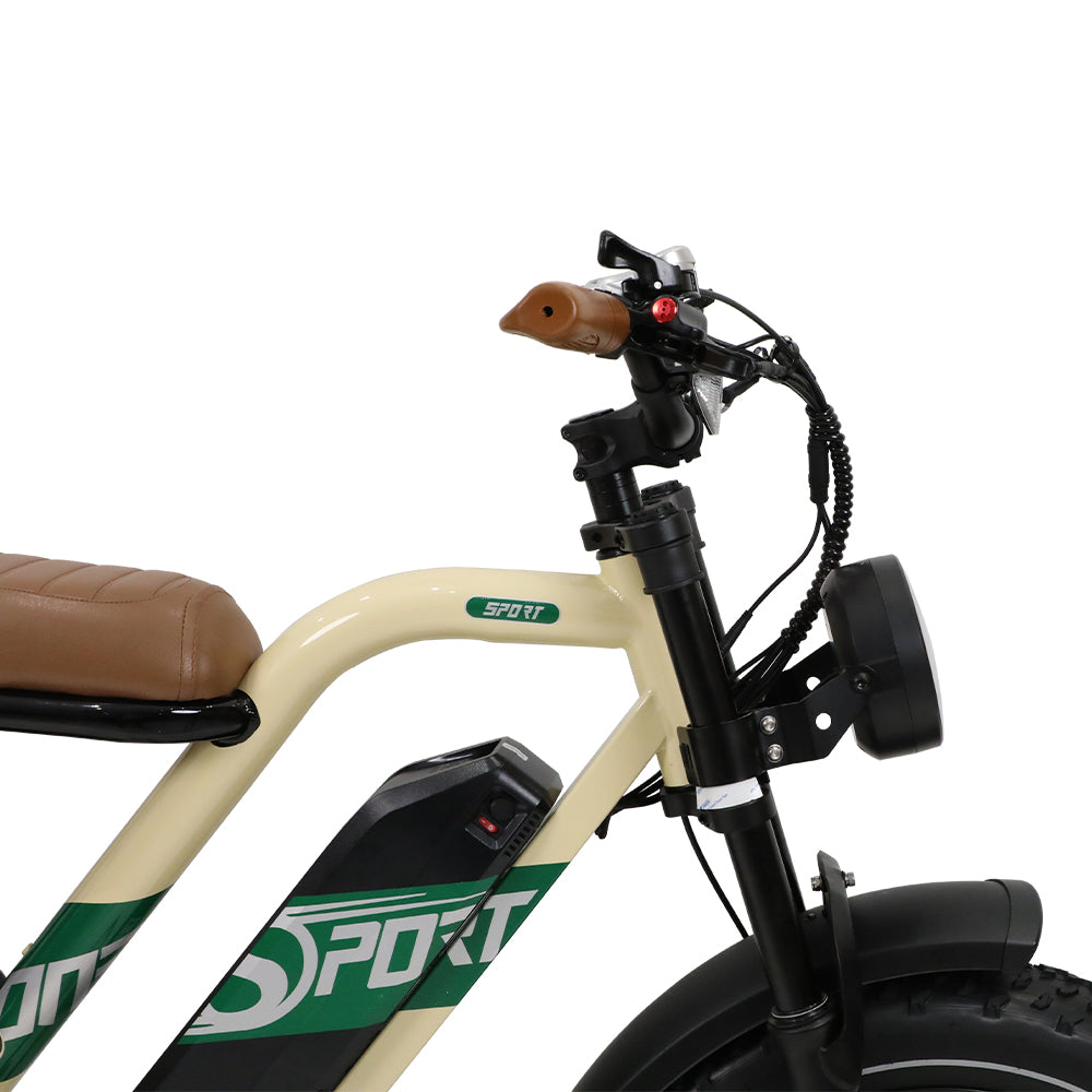 ONESPORT W66 20“ Retro Elektrofahrrad 500W Motor 48V 13.5Ah Batterie