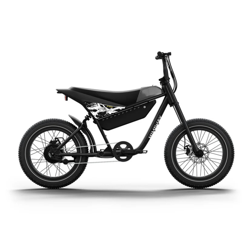 HIMIWAY C5 20" Elektromotorrad 750W Motor 48V 20Ah Batterie