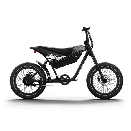 HIMIWAY C5 20" Elektromotorrad 750W Motor 48V 20Ah Batterie
