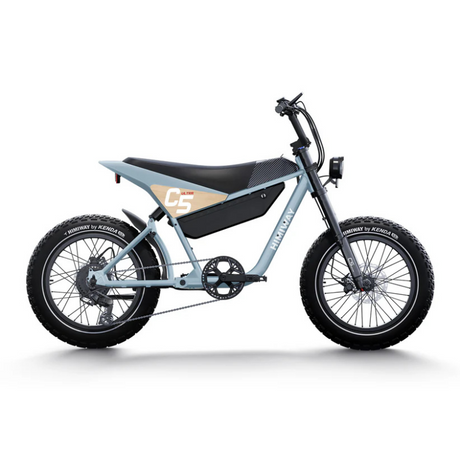 HIMIWAY C5 20" Elektromotorrad 750W Motor 48V 20Ah Batterie