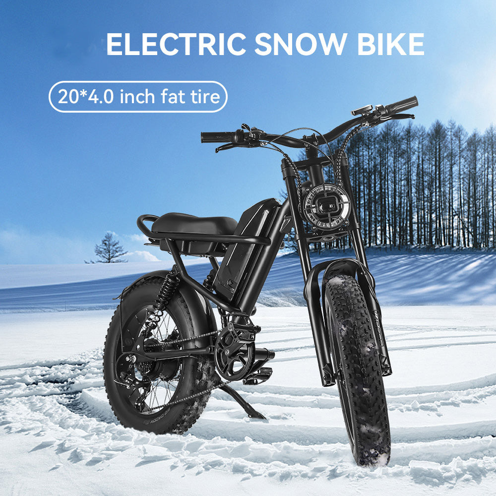 IDPOO IM-J1 20" Fat Tires Elektrofahrrad 500W bürstenloser Motor 48V 15Ah Batterie