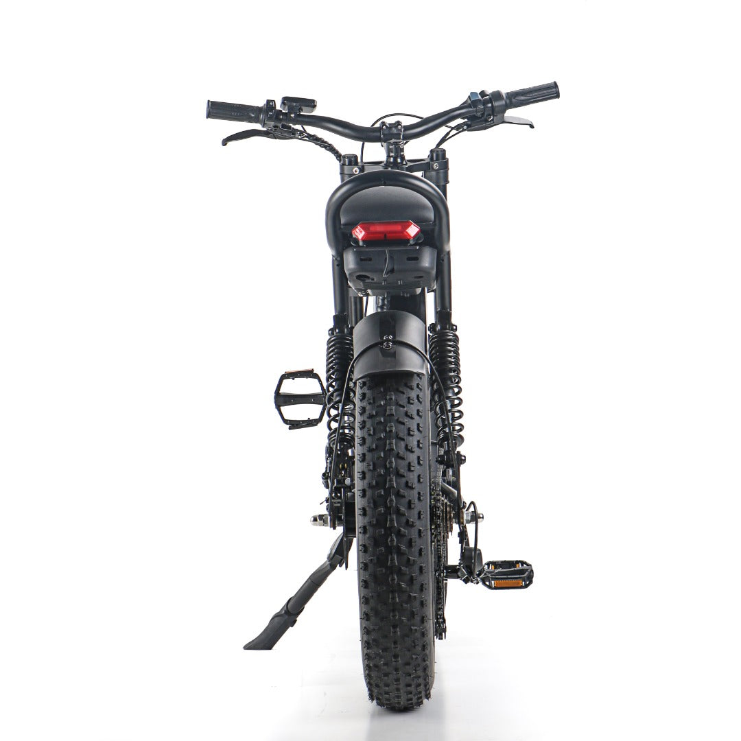 IDPOO IM-J1 20" Fat Tires Elektrofahrrad 500W bürstenloser Motor 48V 15Ah Batterie