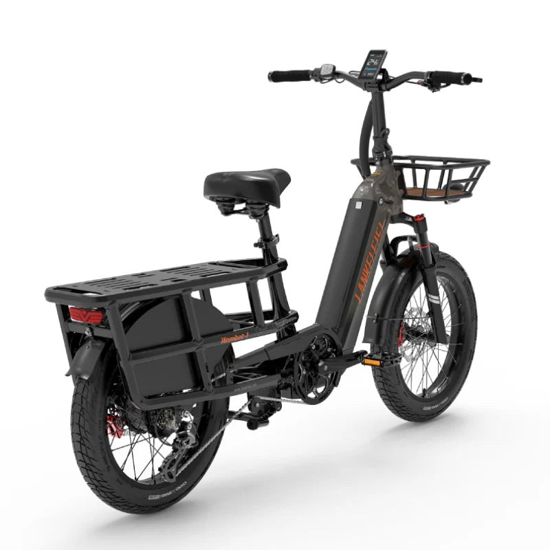 LANKELEISI Wombat-1 20“ Lasten Elektrofahrrad 1000W Motor 48V 20Ah Batterie